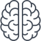 brain brain