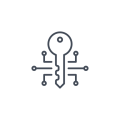 digital-key (1)